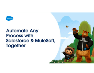 142054079-14205-MuleSoft-62419-Thumb