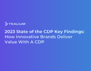 2023 State of the CDP How Innovative Brands Deliver Value With A CDP