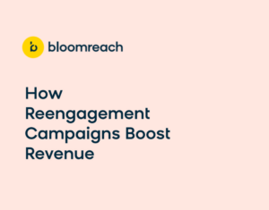 How Reengagement Campaigns Boost Revenue Whitepaper