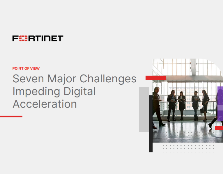 Seven Major Challenges Impeding Digital Acceleration