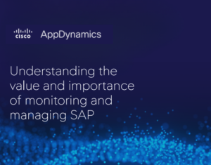 Understanding the Value and Importance of Monitoring and Managing SAP