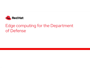 173954994-17395-63086-Red Hat - Nethawk Interactive