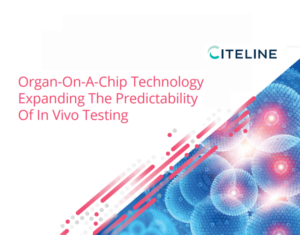 Organ-On-A-Chip Technology Expanding The Predictability Of In Vivo Testing