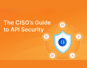 The CISO’s Guide to API Security