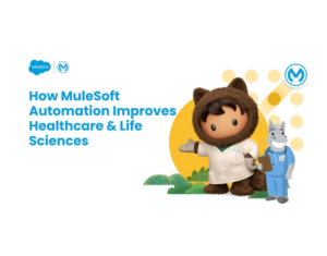 146014191-14601-62510-MuleSoft