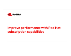 313219-313-44151-Red Hat - Nethawk Interactive