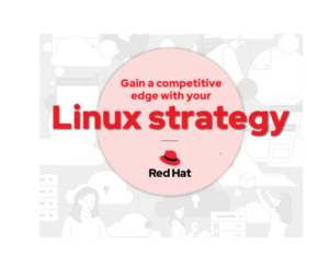 70332095-7033-61048-Red Hat - Nethawk Interactive