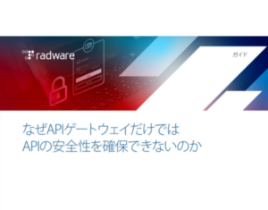 なぜAPIゲートウェイだけでは APIの安全性を確保できないのか (JP)