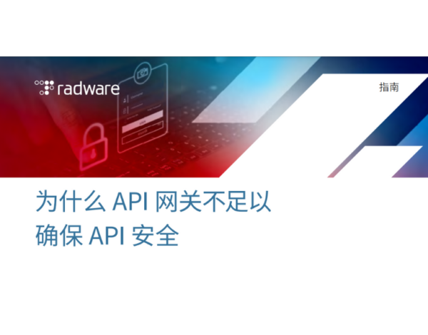 为什么 API 网关不足以 确保 API 安全