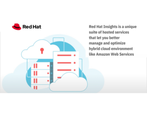 225786251-22578-64015-Red Hat - Nethawk Interactive