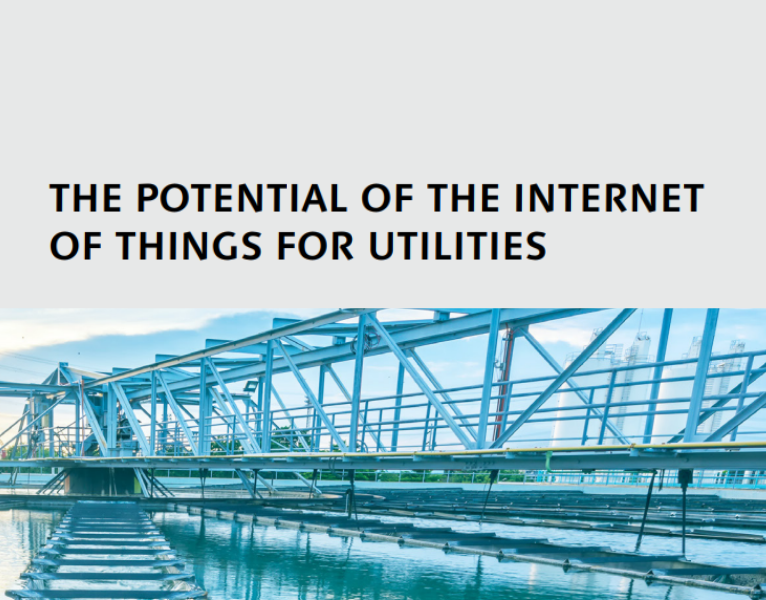 The-Potential-of-the-Internet-of-Things-for-Utilities (1)