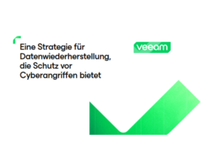 340069248-34006-66218-Veeam Software Group Gmbh