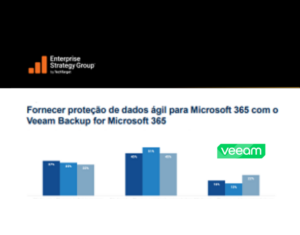 3955210662-39552-67425-Veeam Software Group Gmbh