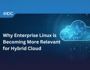 IDC Cloud Pulse Infobrief Why enterprise linux is becoming more relevant for hybrid cloud (2)