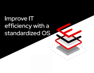 Improve IT efficiency with a standardized OS - DB5A45 (2)