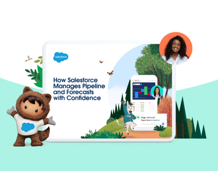 4321311578-43213-68158-Salesforce