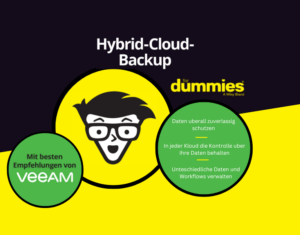 Hybrid-Cloud-Backup-for-Dummies-1 (2)