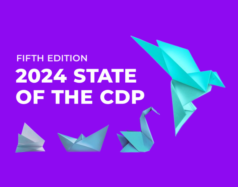 State of the CDP Report 2024