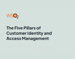 The Five Pillars of Customer Identity and Access Management