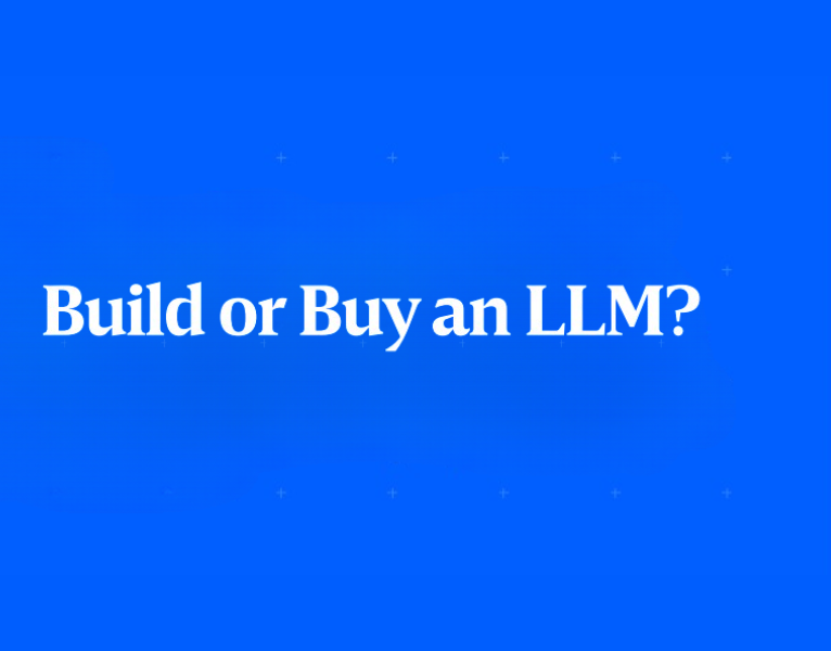 Build or Buy an LLM