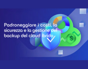 Padroneggiare la gestione del backup del cloud ibrido