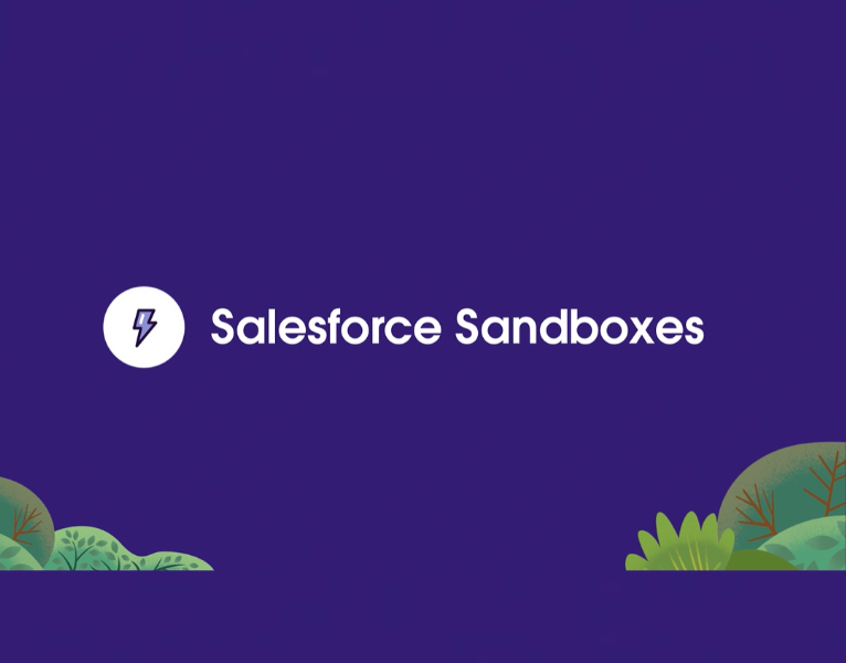 Innovate faster with Salesforce Sandboxes