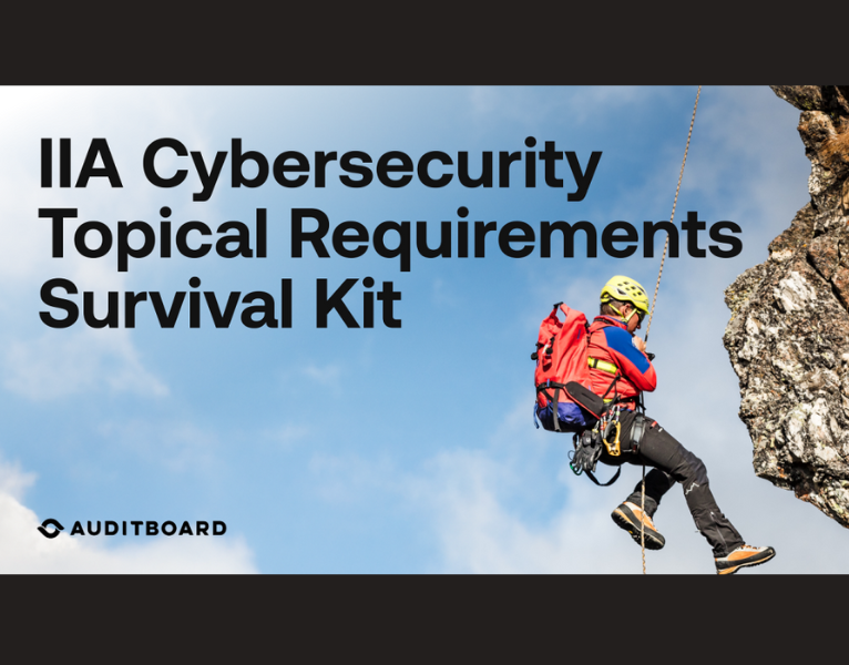 IIA Cybersecurity Topical Requirement Survival Kit