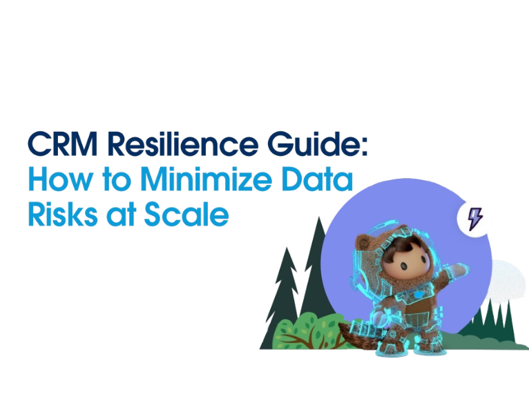 Improve data resilience in your expanding Salesforce org