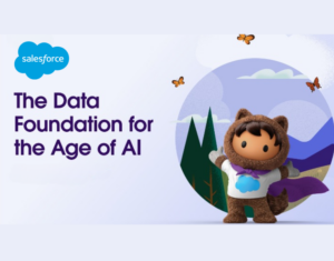 See how you can build a data strategy for the age of AI