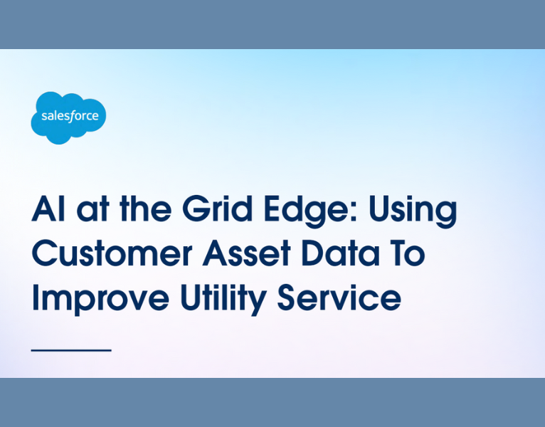 AI at the Grid Edge Using Customer Asset Data to Improve Utility Service