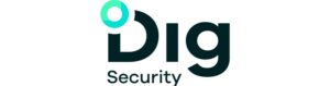 DIG