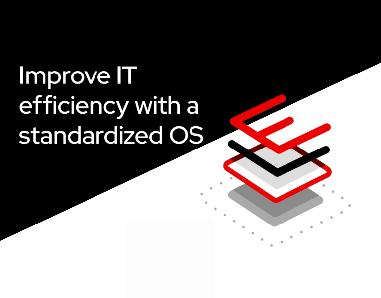 Improve-IT-efficiency-with-a-standardized-OS-DB5A45-2