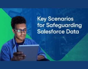 Key-Scenarios-for-Safeguarding-Salesforce-Data-1
