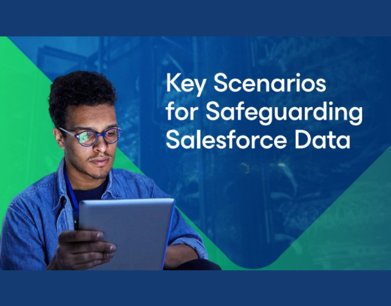 Key-Scenarios-for-Safeguarding-Salesforce-Data-1