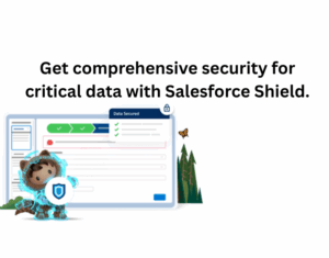 Get comprehensive security for critical data with Salesforce Shield