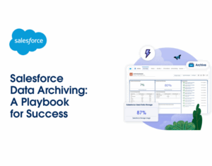 Manage Salesforce data growth with Archive