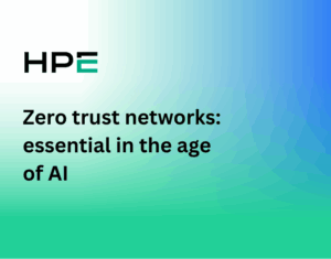 zero trust networks