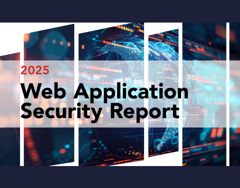 2025 Web Application Security Report