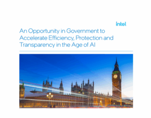 An Opportunity in Government to Accelerate Efficiency, Protection and Transparency in the Age of AI 