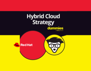 Hybrid Cloud Strategy for Dummies