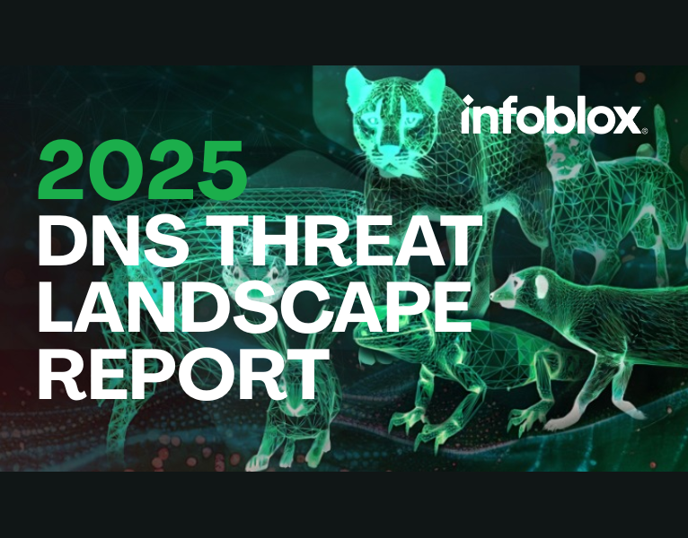 DNS Threat Landscape Report