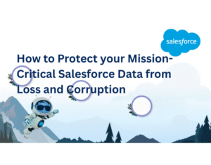 Protect your Salesforce Data