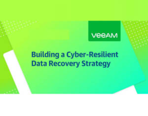 Cyber Resilient Data Recovery Strategy