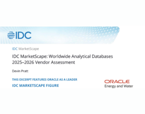 IDC-Marketplace-Worldwide-Analytical-Databases-2025-2026-Vendor-Assessment (1)