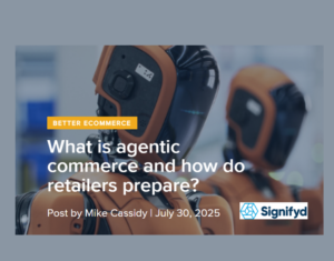 What is agentic commerce and how do retailers prepare?