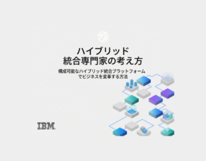 ハイブリッド統合専門家の考え方