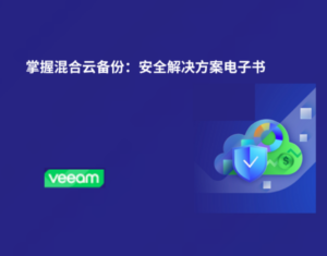 掌握混合云备份：安全解决方案电子书