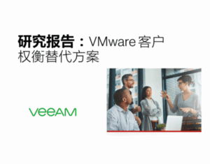 研究报告：VMware 客户 权衡替代方案