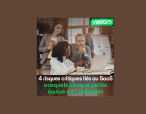 4-rischi-critici-SaaS-che-ogni-piccolo-team-deve-affrontare (1)