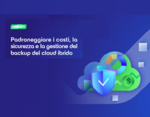 Padroneggia il backup del cloud ibrido E-book sulle soluzioni sicure